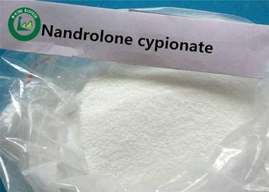 Kilo Kaybı İçin Beyaz Toz Ham Tıbbi Nandrolone Cypionate, CAS 601-63-8